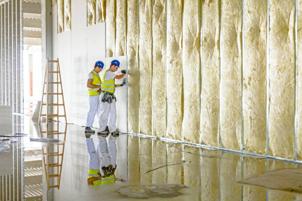 Best Types of Insulation in Loyalhanna, PA